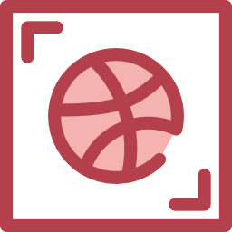 Dribbble icon