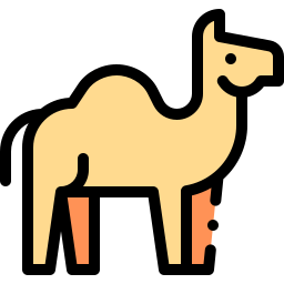 Camel icon