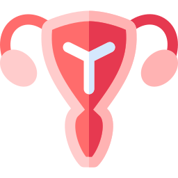 Uterus icon