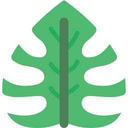 Leaf icon