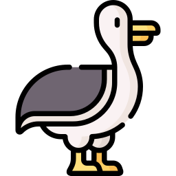 Seagull icon