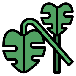 monstera icon