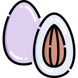 Jordan almond icon