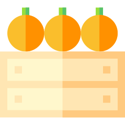 Orange icon