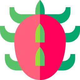 Dragon fruit icon