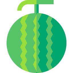 Watermelon icon