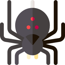 Spider icon