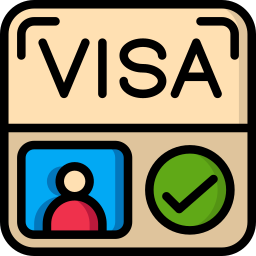 visa icon