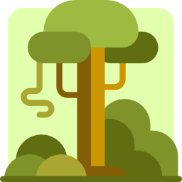 Rainforest icon