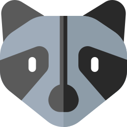 waschbär icon