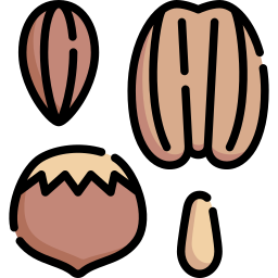 Nuts icon