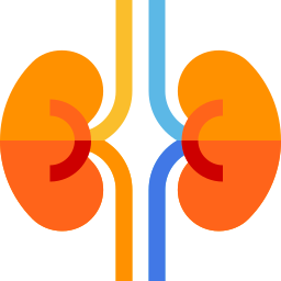 Kidneys icon