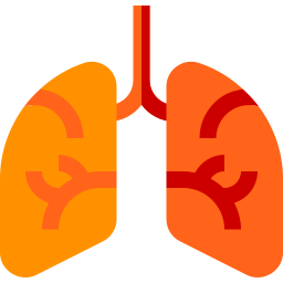 Lungs icon