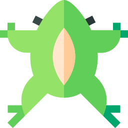 Frog icon