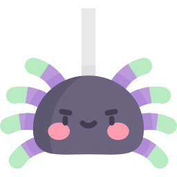 spinne icon