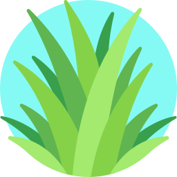 Grass icon