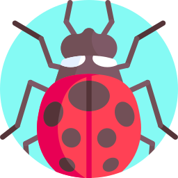 Ladybug icon