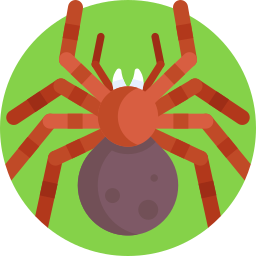 Tarantula icon