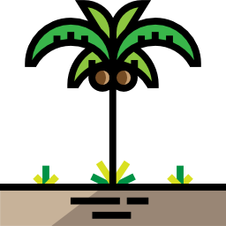 Palm tree icon