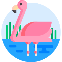 Flamingo icon