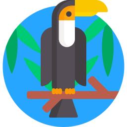 toucan Icône