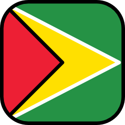 guyana icon