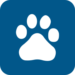 baidu icon