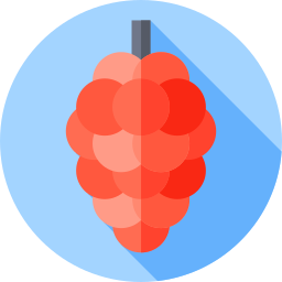 Grapes icon