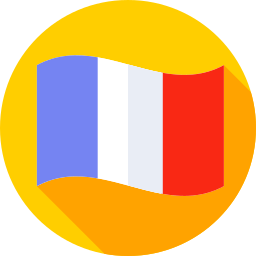 france Icône