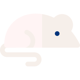 Mouse icon