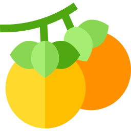 persimmon icon