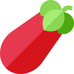 aubergine icon