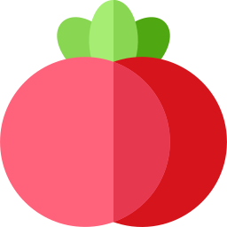 Tomato icon