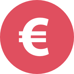 Euro icon