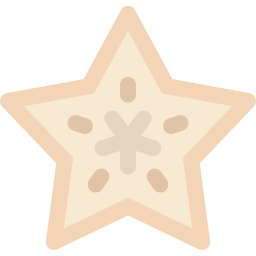 Starfruit icon