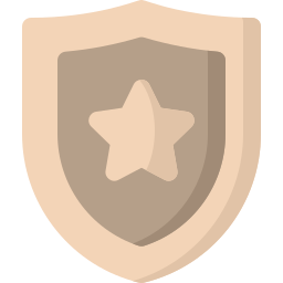 Shield icon