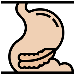 Stomach icon