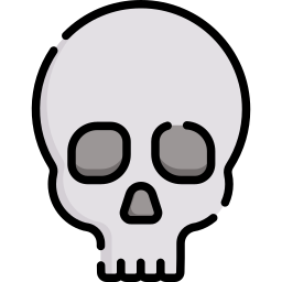 Skull icon