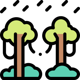 Rainforest icon