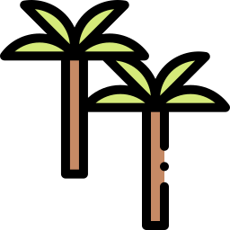 palme icon