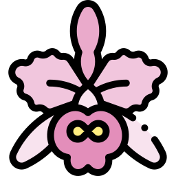 orchidee icon