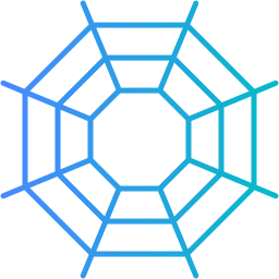 Spider web icon