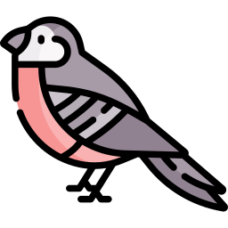 Bird icon