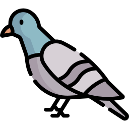 pombo Ícone