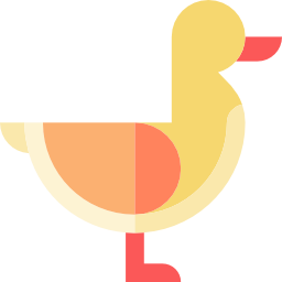 Duck icon