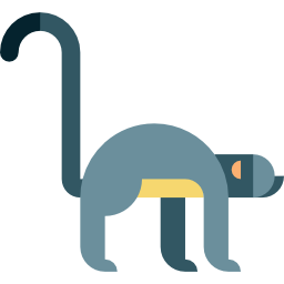 Monkey icon