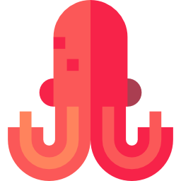 Octopus icon