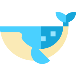 Whale icon