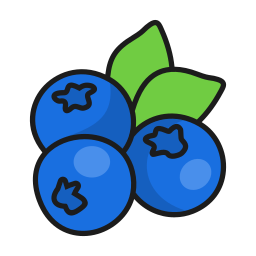 Blueberry icon