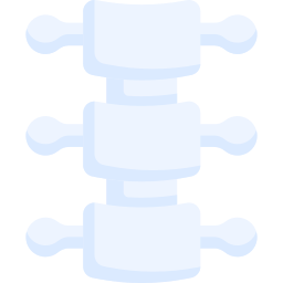 Spine icon